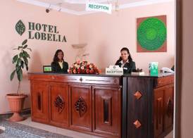 Hotel Lobelia 4