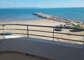 Palm Hotel 4