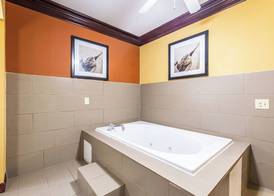 Comfort Suites Lake Jackson Clute 5