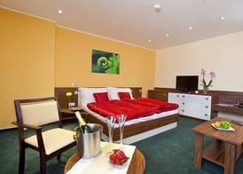 Hotel Viktor 5