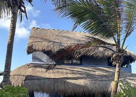 La Conchita Tulum 4