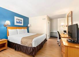 Skylark Shores Resort 3