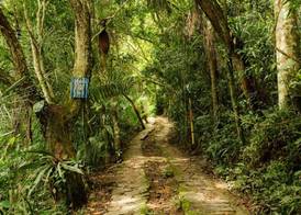 ReMo Treehouse Hostel 2