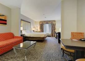 Holiday Inn Express & Suites GONZALES by IHG 2