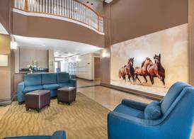Comfort Suites Ocala North 3