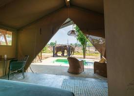 Elephant View Camp 2