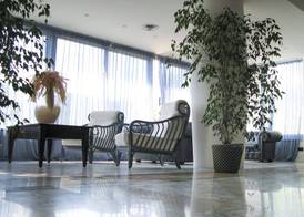 Hotel Cavalluccio Marino 3