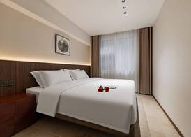 APOLLO COURTYARD HOTEL 4
