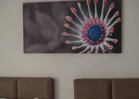 Vitta Hotel Superior 4
