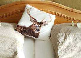 Hotel Hasselhof Garni Vier Sterne 4