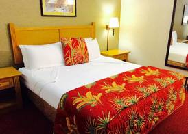 Caliente Tropics Hotel 3