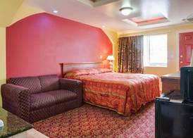 Sky Palm Motel - Orange 4