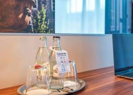 PLAZA INN Goslar 4