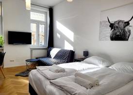 Neulerchenfelder Apartment Vienna 4