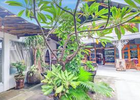 Collection O Sanur Near Bali Exotic Marine Park 3
