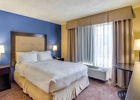 Holiday Inn INDIANAPOLIS CARMEL by IHG 4