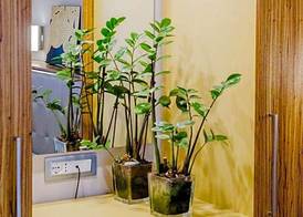 Hotel Garden 4