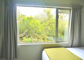Franz Josef Treetops 4