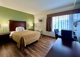 Quality Inn & Suites Albany Airport 5