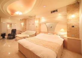 Hotel Fine Garden Toyonaka Osaka International Itami Airport 5