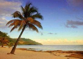Carambola Beach Resort 2