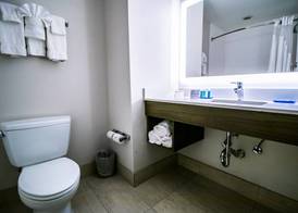 Holiday Inn Express & Suites BATON ROUGE -PORT ALLEN by IHG 4