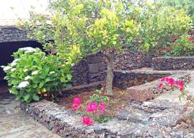 Casa Rural Aborigen Bimbache 4