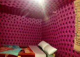 Camp Sahara Majestic 2