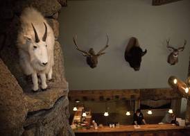 Three Bear Lodge 2