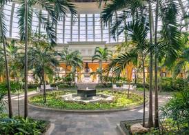 JOIA Paraiso by Iberostar - Adults Only All Inclusive Resort 5