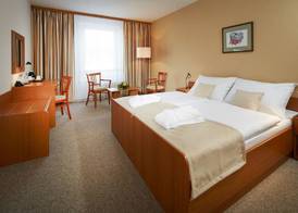 Spa Hotel Devin 2