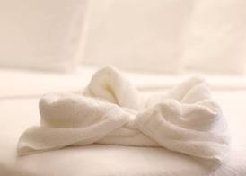 The Chancellor Hotel 5