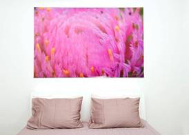 Galeria River 5