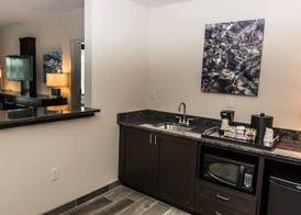 Holiday Inn PADUCAH RIVERFRONT by IHG 5