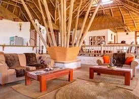 Ngorongoro Forest Tented Lodge 4