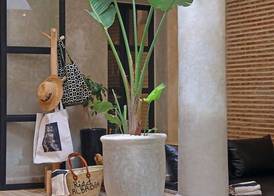 Riad Al Badia 3