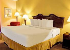 Quality Inn Richmond North 5
