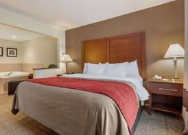 Comfort Inn Warren I-69 3
