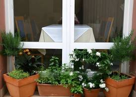 Hotel Alt Speyer 3