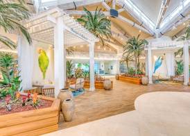 Margaritaville Resort Orlando with H2O Waterpark 3