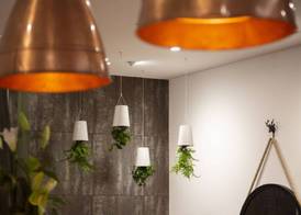 Wyndham Garden Hotel Remarkables Park Queenstown 4