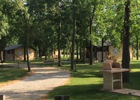 Agriturismo Tenuta Regina - Glamping luxury lodges and apartments 3
