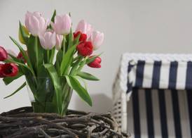 Pension Frisia 5