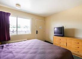 OYO Hotel Shreveport Airport North 3