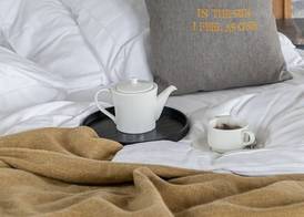 Boutiquehotel Sonne Küsnacht - Zürich 3