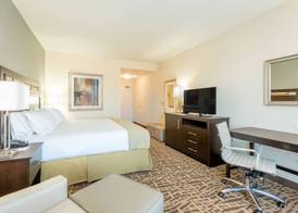 Holiday Inn Express & Suites DENVER SOUTH - CASTLE ROCK by IHG 5