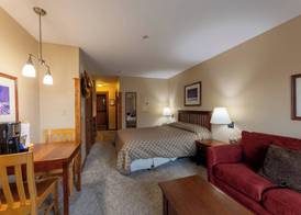 Allegheny Springs 4