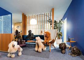 Kristallhotel Fettehenne 5