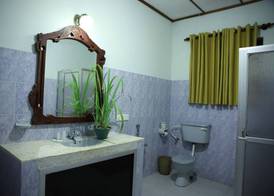 Bougain Villa 4