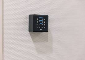 Homaris The Corner - Self-Check In 2